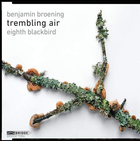 Trembling Air: Music by Benjamin Broening <BR> BRIDGE 9384