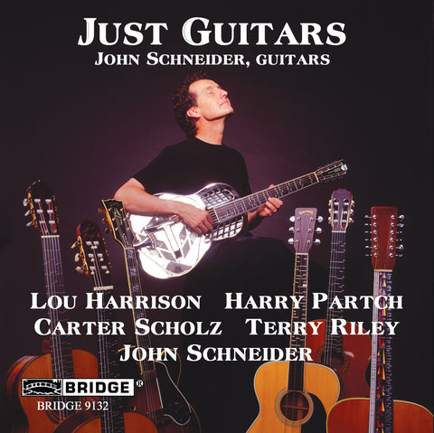 Just Guitars <BR> BRIDGE 9132